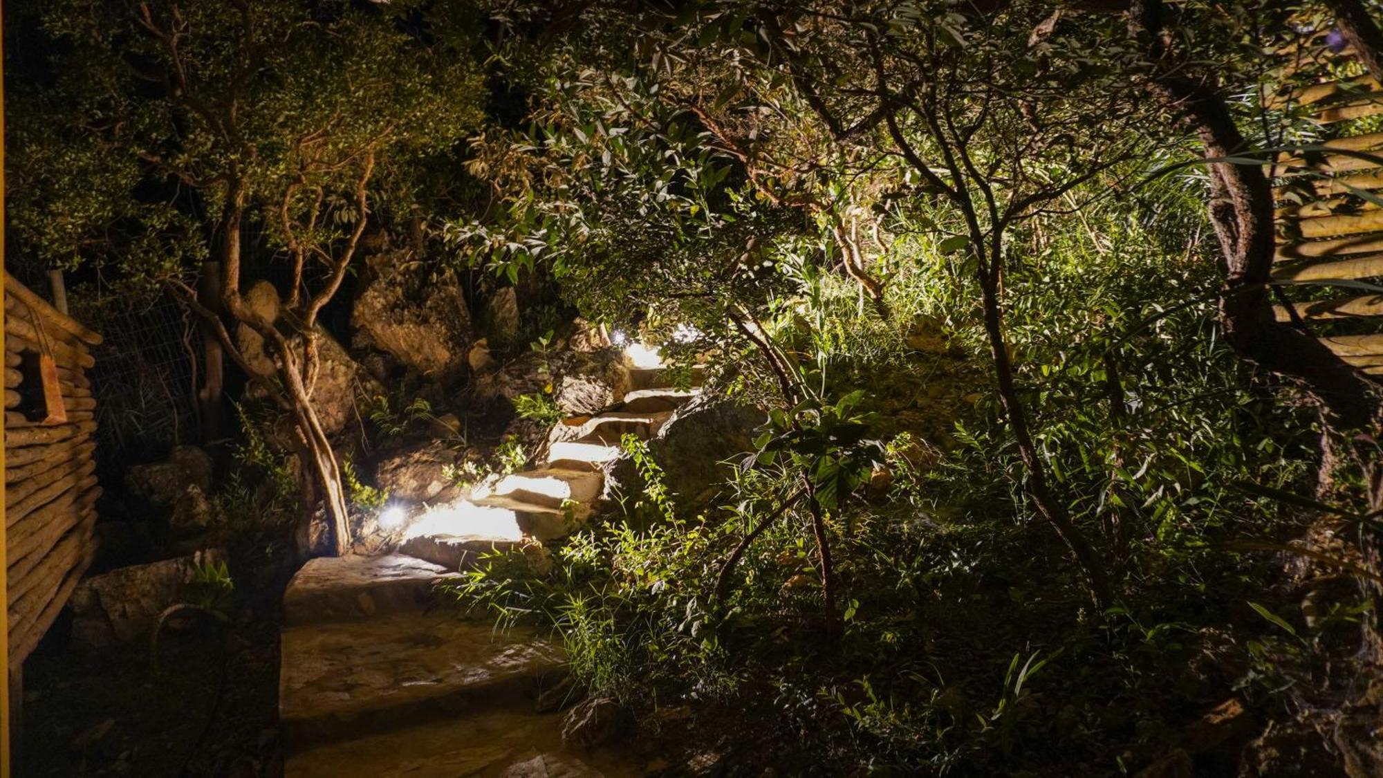 Vila Flor - Chapada Dos Veadeiros Alto Paraíso de Goiás Eksteriør billede