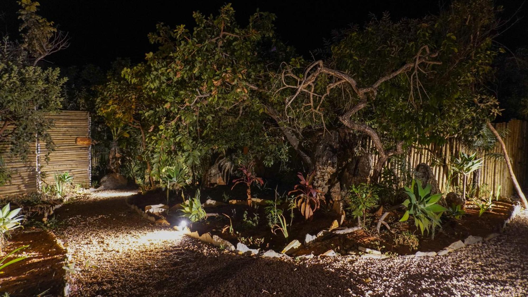 Vila Flor - Chapada Dos Veadeiros Alto Paraíso de Goiás Eksteriør billede